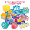 Box o Squish Sensory Fidget Toy Set