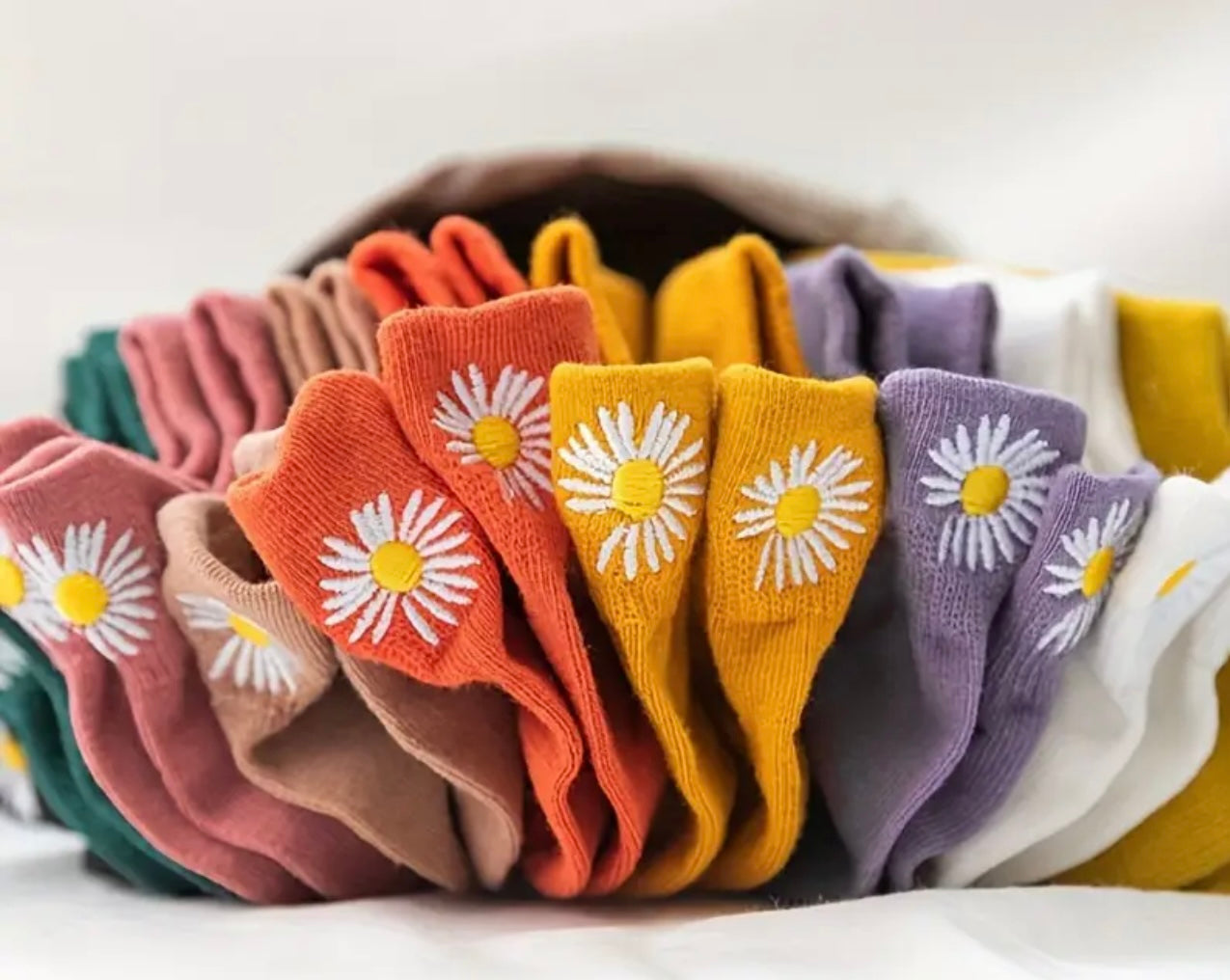 Daisy No-Show Sock
